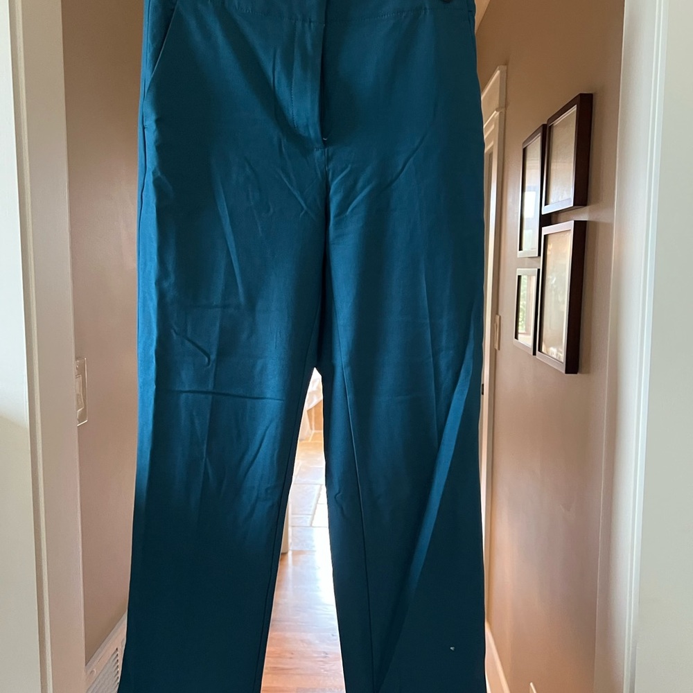 Ann Taylor Ocean Blue Trousers